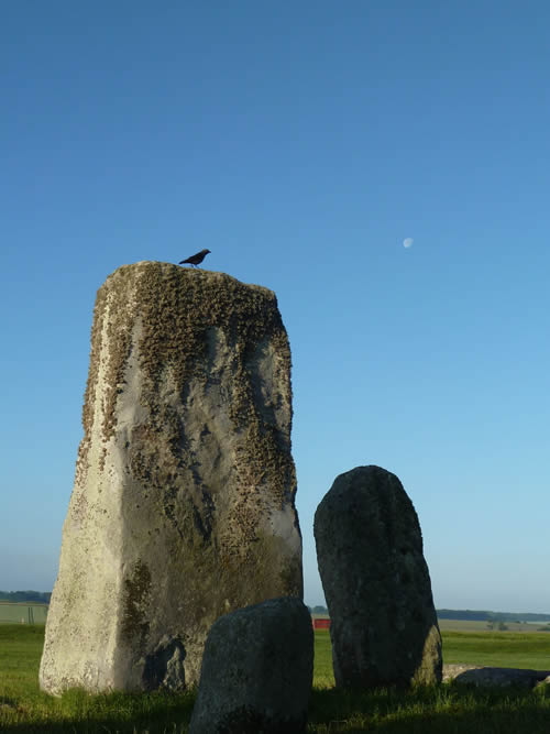 Stonehenge, moon and jackdaw